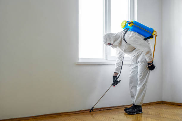 Best Pest Prevention Services  in Manning, IA