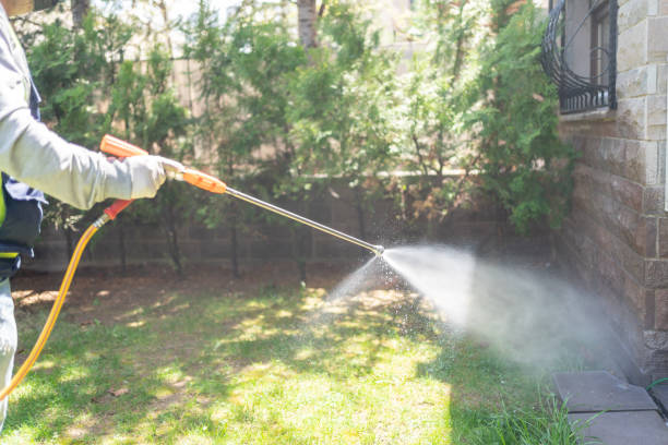 Best Insect Control  in Manning, IA