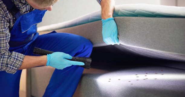 Best Affordable Pest Control Services  in Manning, IA