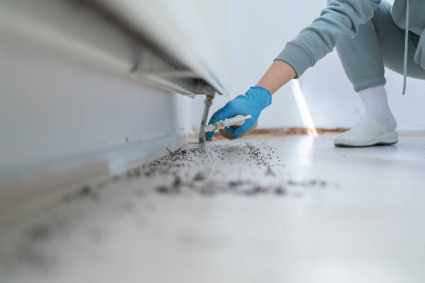 Manning, IA Pest Control Company